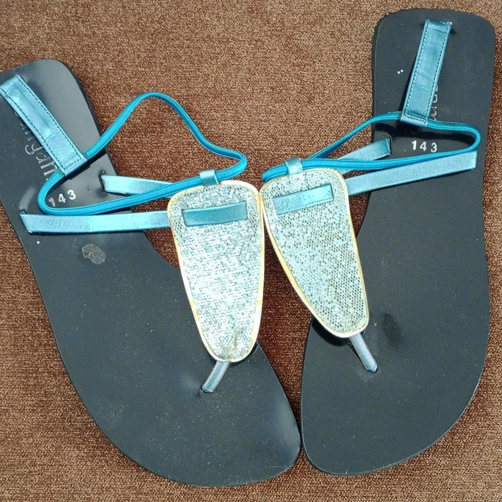 Blue and Black Sandals with Gold Accents